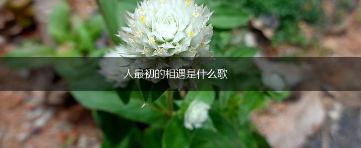 人最初的相遇是什么歌,第1张