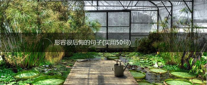 形容很后悔的句子(实用50句),第1张