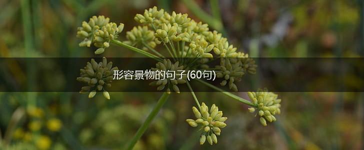 形容景物的句子(60句),第1张