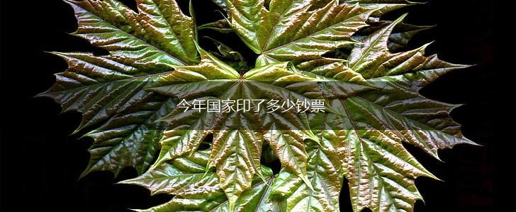 今年国家印了多少钞票,第1张