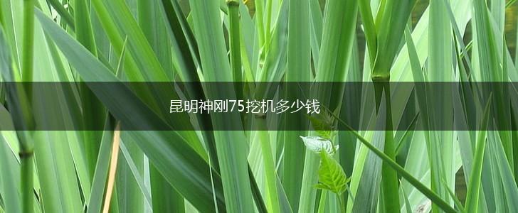 昆明神刚75挖机多少钱,第1张