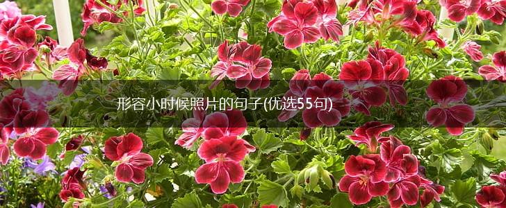 形容小时候照片的句子(优选55句),第1张