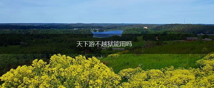 天下游不越狱能用吗,第1张