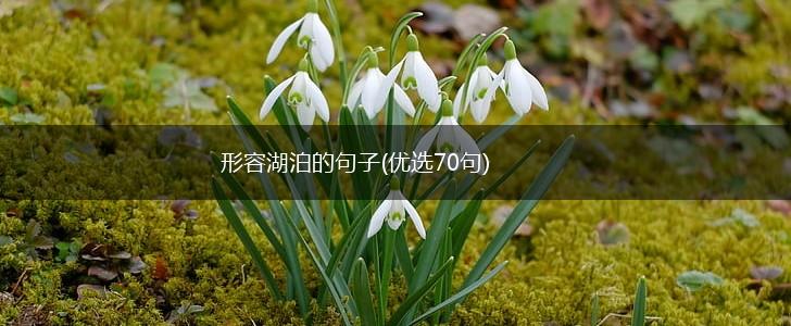 形容湖泊的句子(优选70句),第1张