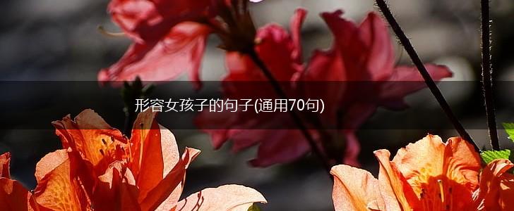 形容女孩子的句子(通用70句),第1张