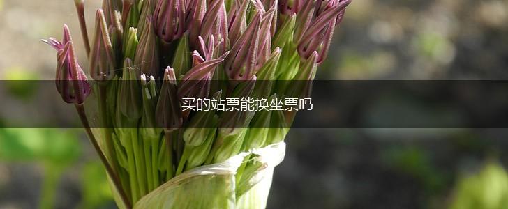买的站票能换坐票吗,第1张