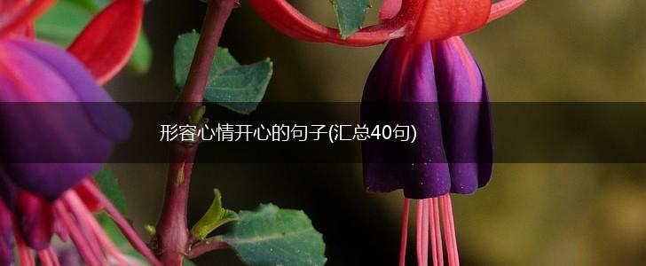形容心情开心的句子(汇总40句),第1张
