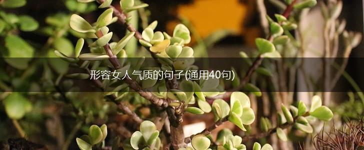 形容女人气质的句子(通用40句),第1张