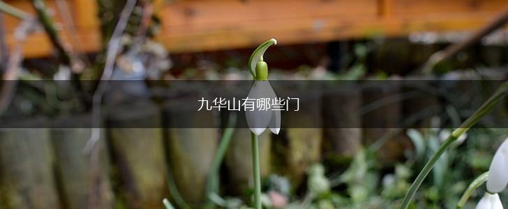 九华山有哪些门,第1张