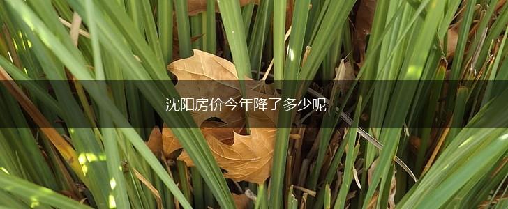 沈阳房价今年降了多少呢,第1张