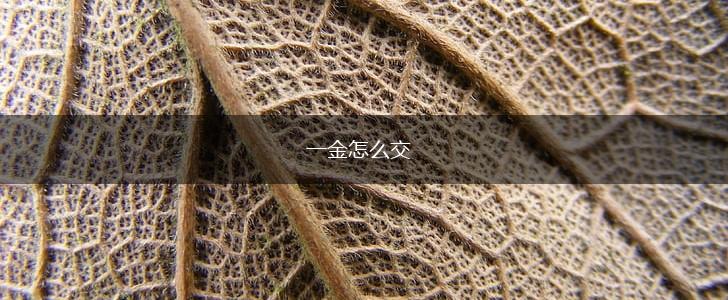 一金怎么交,第1张