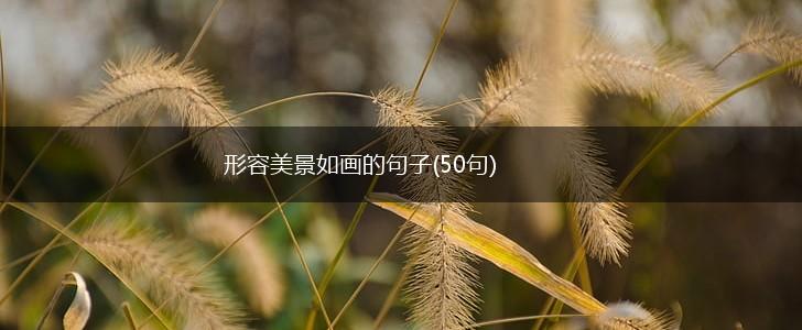 形容美景如画的句子(50句),第1张