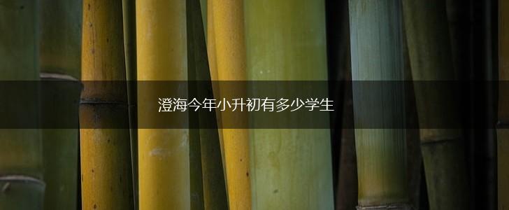澄海今年小升初有多少学生,第1张
