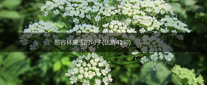 形容林黛玉的句子(优选41句),第1张