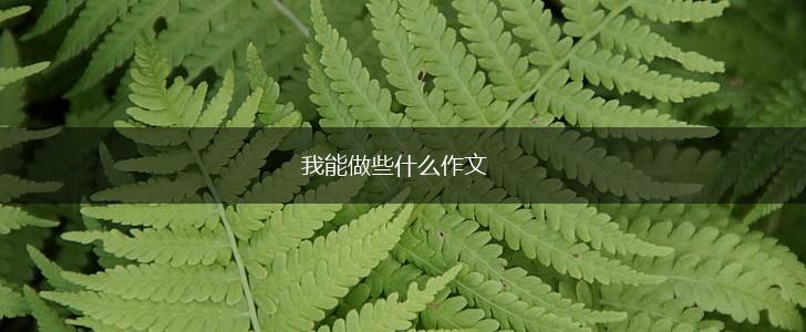 我能做些什么作文,第1张