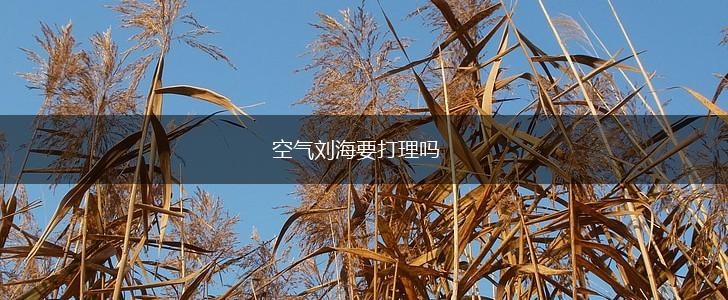 空气刘海要打理吗,第1张