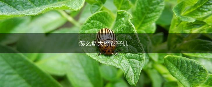 怎么调大棚卷帘机,第1张