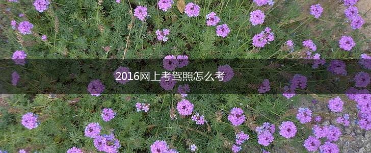 2016网上考驾照怎么考,第1张