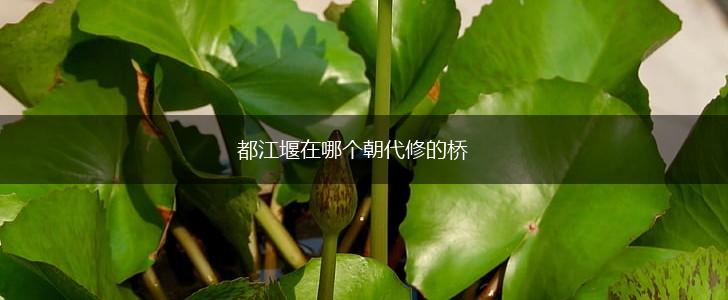 都江堰在哪个朝代修的桥,第1张