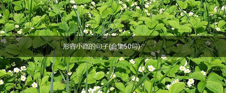 形容小路的句子(合集50句),第1张