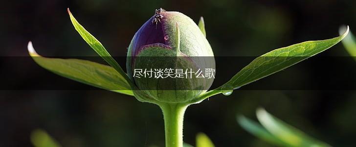尽付谈笑是什么歌,第1张
