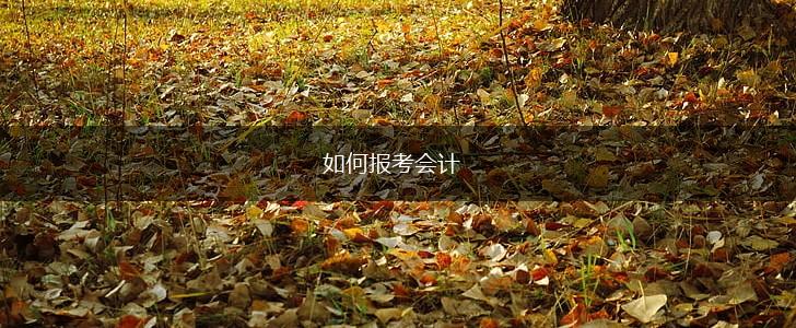如何报考会计,第1张