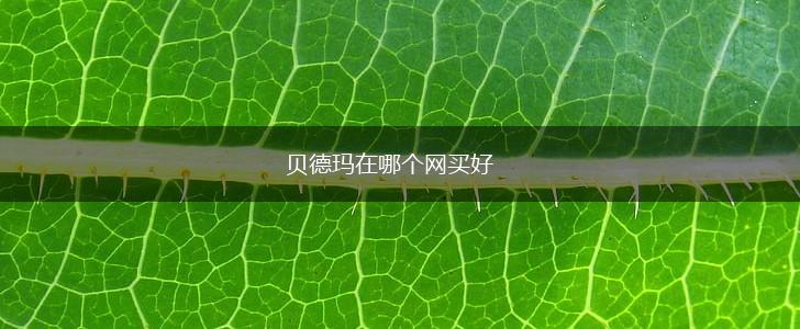 贝德玛在哪个网买好,第1张