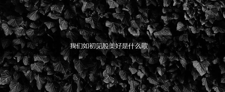 我们如初见般美好是什么歌,第1张