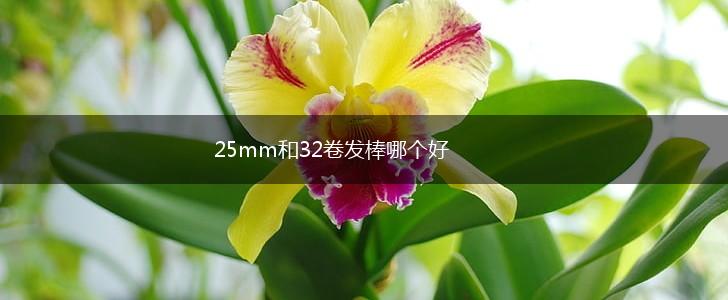 25mm和32卷发棒哪个好,第1张