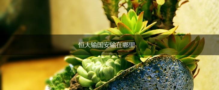 恒大输国安输在哪里,第1张