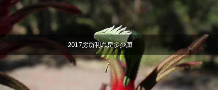 2017房贷利息是多少厘,第1张
