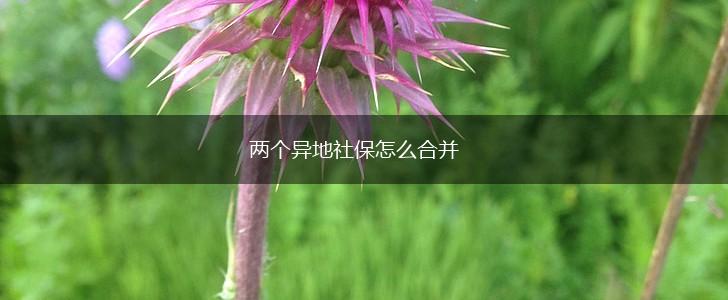 两个异地社保怎么合并,第1张