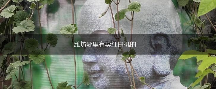 潍坊哪里有卖红白机的,第1张