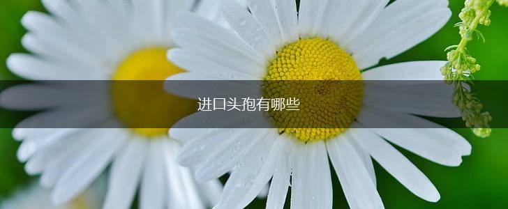进口头孢有哪些,第1张