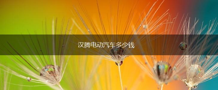 汉腾电动汽车多少钱,第1张