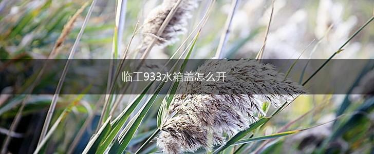 临工933水箱盖怎么开,第1张