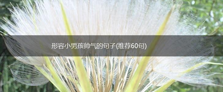 形容小男孩帅气的句子(推荐60句),第1张