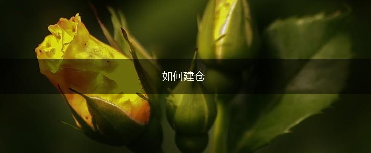 如何建仓,第1张