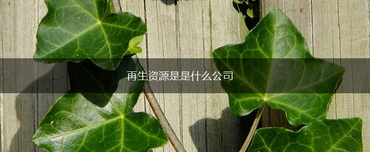 再生资源是是什么公司,第1张