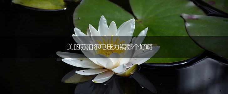 美的苏泊尔电压力锅哪个好啊,第1张