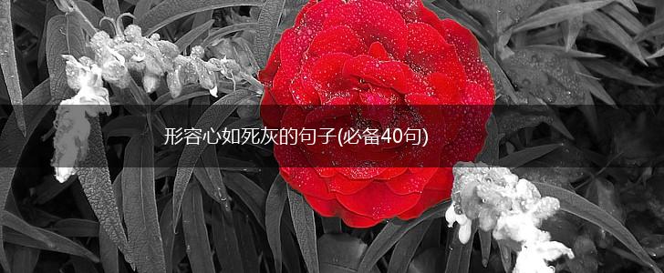形容心如死灰的句子(必备40句),第1张