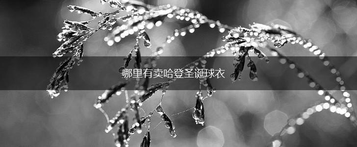 哪里有卖哈登圣诞球衣,第1张