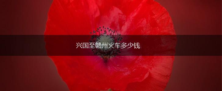 兴国至赣州火车多少钱,第1张