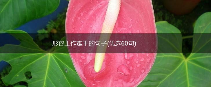 形容工作难干的句子(优选60句),第1张