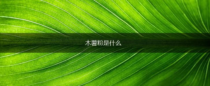 木薯粉是什么,第1张