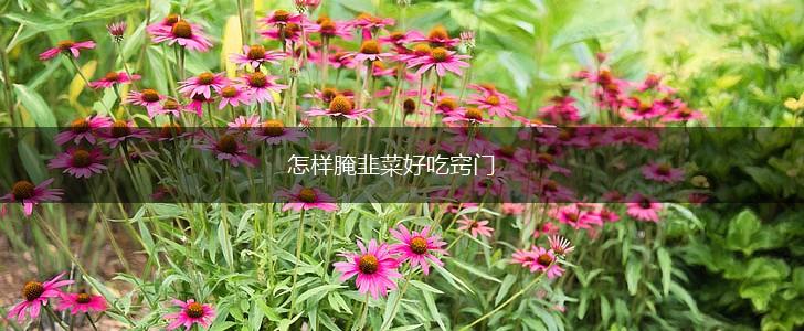 怎样腌韭菜好吃窍门,第1张