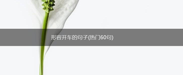 形容开车的句子(热门60句),第1张