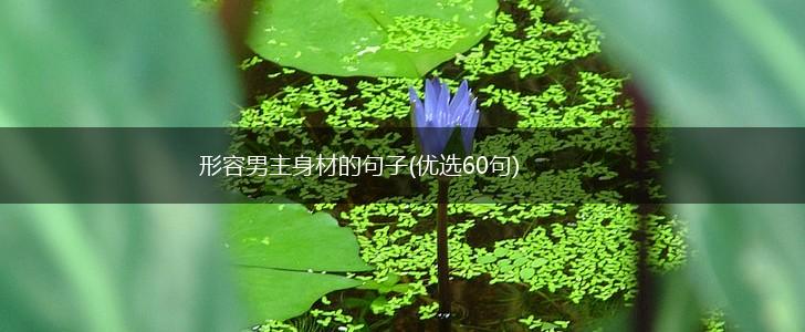 形容男主身材的句子(优选60句),第1张