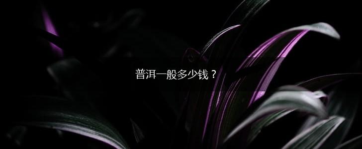普洱一般多少钱？,第1张