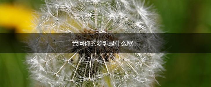 我问你的梦想是什么歌,第1张